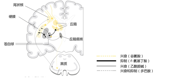 图片 1